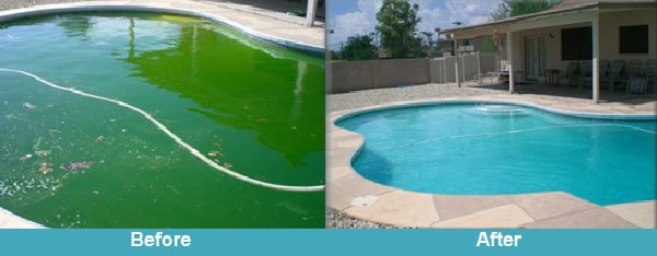 Green pool recovery